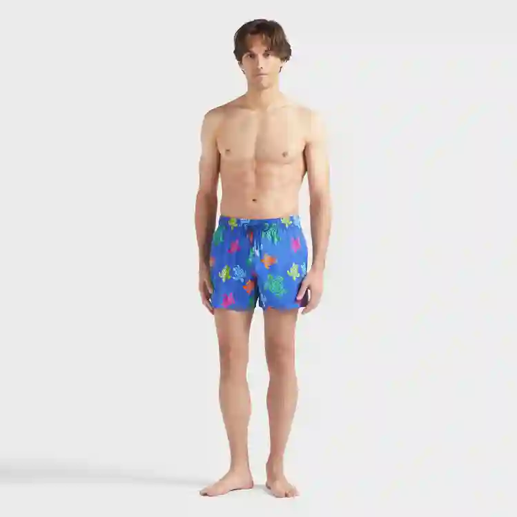 صورة Erkek Tortues Multicolores Monrise Mayo