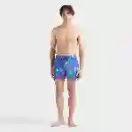 صورة Erkek Tortues Multicolores Monrise Mayo