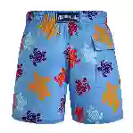 صورة Erkek Tortues Multicolores Moorise Mayo