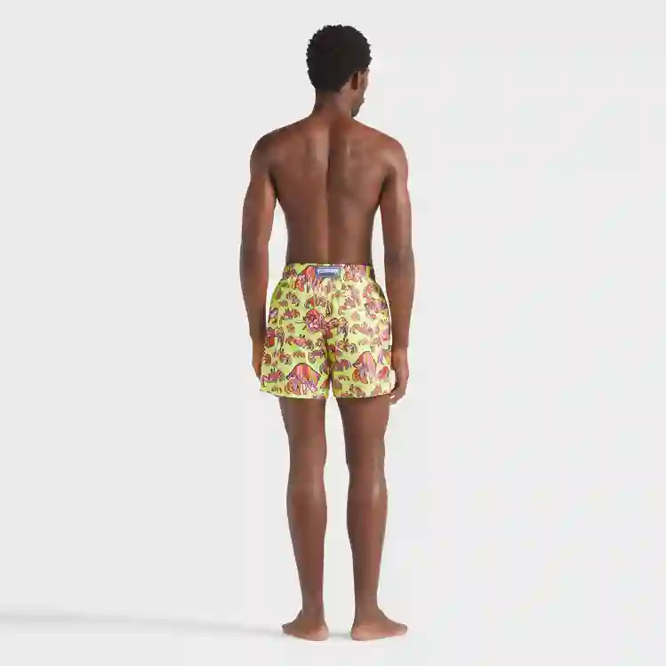 صورة Erkek Hermit Crabs Mahina Mayo