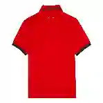 صورة Erkek Palatin Polo