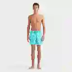 صورة Erkek Oursins Bicolores Moorea Mayo