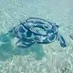 Resim Unisex Turtle Simit Turtloop Plaj Oyuncakları