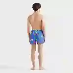 صورة Erkek Tortues Multicolores Monrise Mayo