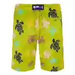 صورة Erkek Ronde Des Tortues Multicolore Okohina Mayo