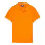 صورة Erkek Palatin Polo