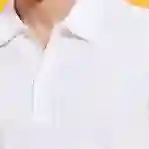 صورة Erkek Phoenix Polo