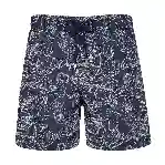 صورة Erkek Poulpes Bicolores Moorea Mayo