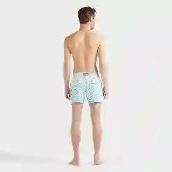 صورة Erkek Micro Ronde Des Tortues Moorise Mayo