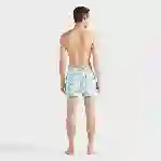 صورة Erkek Micro Ronde Des Tortues Moorise Mayo