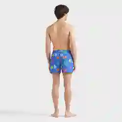 صورة Erkek Tortues Multicolores Moorise Mayo