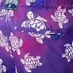صورة Erkek 1991 Original Turtles Okohina Mayo
