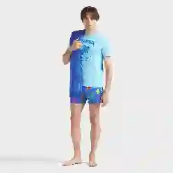 صورة Erkek Tortues Multicolores Moorise Mayo