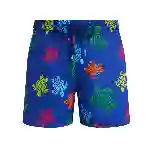 صورة Erkek Tortues Multicolores Monrise Mayo