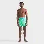 صورة Erkek Flocked Tropical Turtle Mahina Mayo