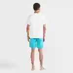 صورة Erkek Portisol Tişört