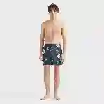 صورة Erkek Tortues Multicolores Mahina Mayo