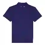 صورة Erkek Pirinol Tencel Polo