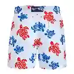 صورة Erkek Tortues Multicolores Moorea Mayo