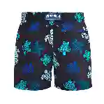 صورة Erkek Tortues Multicolores Mahina Mayo