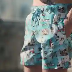 صورة Erkek Moorea Vilebrequin İstanbul Limited Edition Mayo