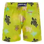 صورة Erkek Ronde Des Tortues Multicolore Mahina Mayo