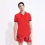 صورة Erkek Palatin Polo