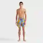 صورة Erkek Tropical Turtle Moorea Mayo