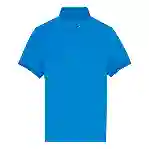 صورة Erkek Palatin Polo